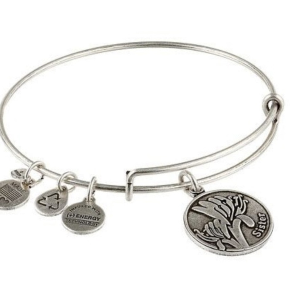 Alex and Ani Silver Bangle Sister Charm bracelet - Picture 14 of 14